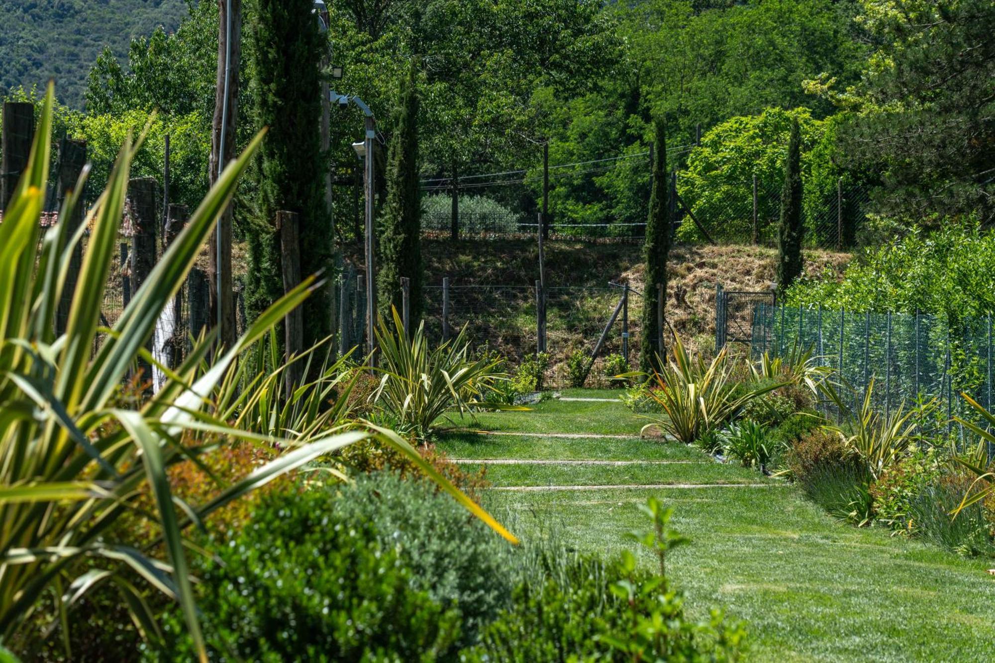 Villa Vittoria - Lusso Con Piscina, Tennis, Jacuzzi E Palestra Lucca Dış mekan fotoğraf